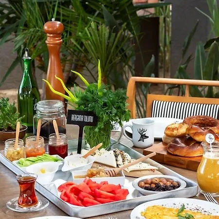 Sato Design (adults Only) 2* Кешме