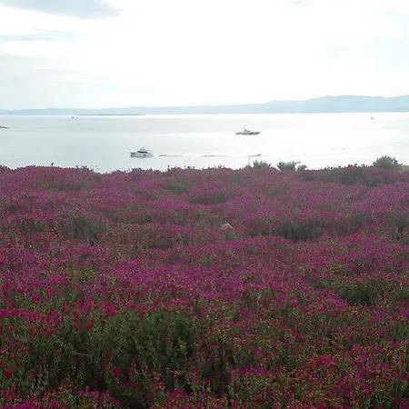 Sato Design (adults Only) Szálloda 2*