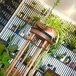 Sato Design (adults Only) 2*