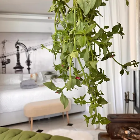Sato Design Çeşme