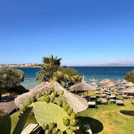 Hotel Sato Design (adults Only)