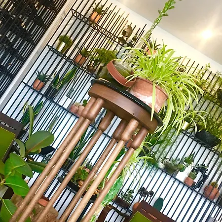 Sato Design (adults Only) 2*