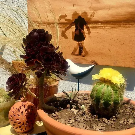 Sato Design (adults Only) Hotel